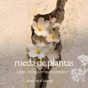 rueda de plantas, parte II