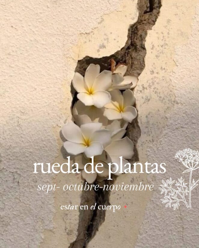 rueda de plantas, parte II